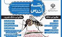 هشدار راه های پیشگیری از تب دنگی